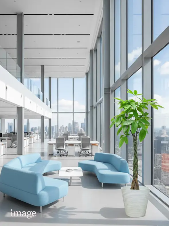 パキラ葉っぱ枝も入った画像