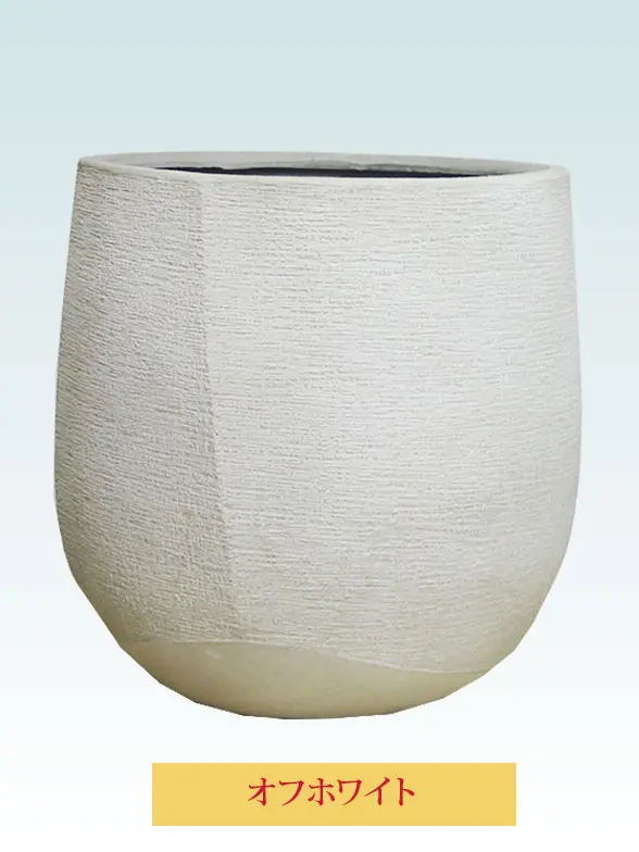 ソングオブインディア葉っぱ拡大画像