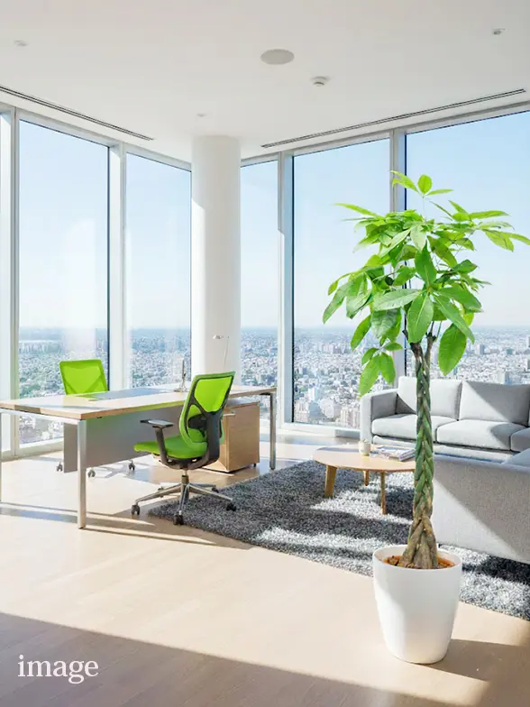 ウンベラータ葉っぱ枝も入った画像