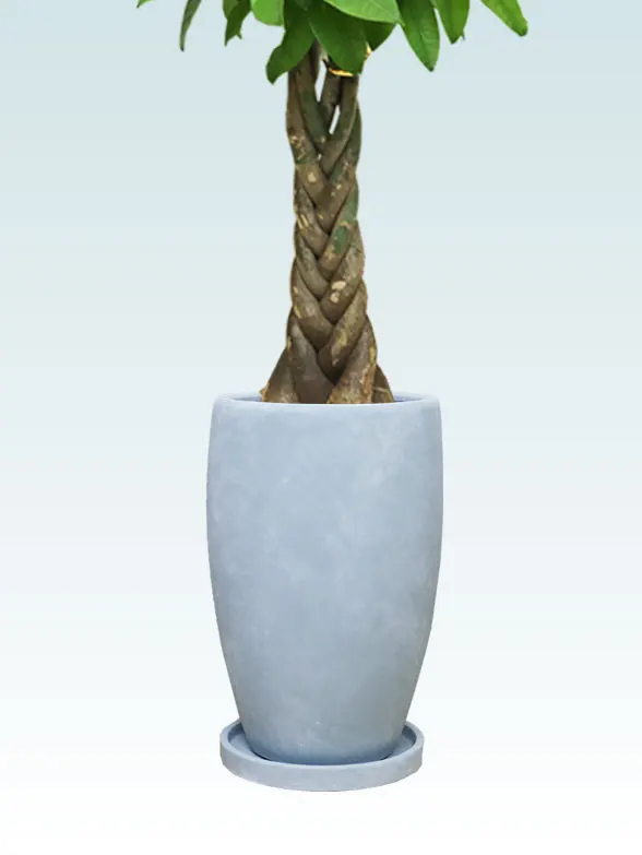 パキラ籐製の鉢カバーイメージ画像