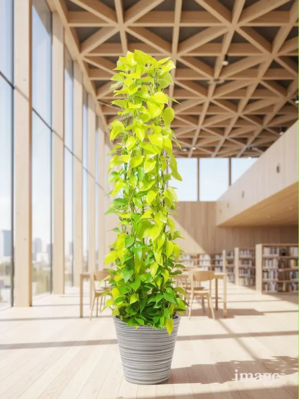 ポトスライムタワー葉っぱ拡大画像