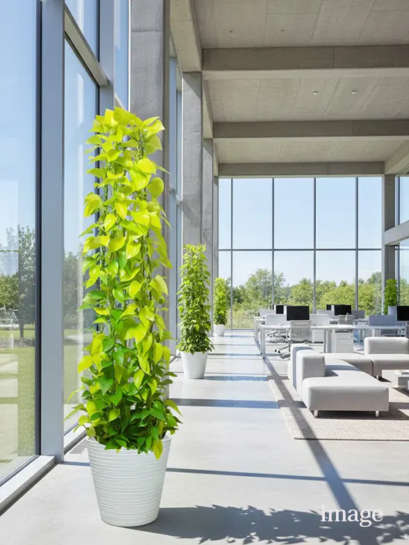 ポトスライムタワー葉っぱ枝も入った画像