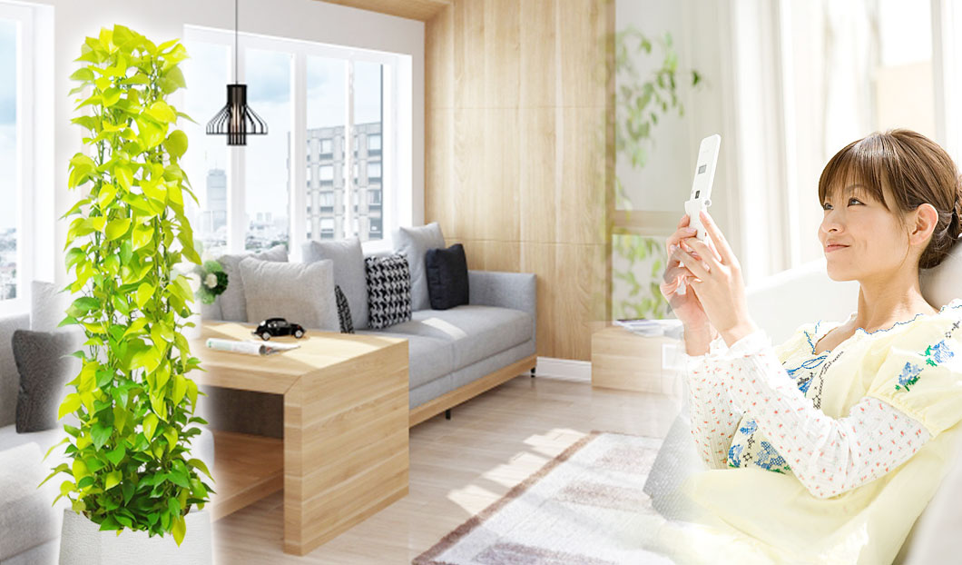 ギフトやインテリアに人気の観葉植物ポトスライムタワー