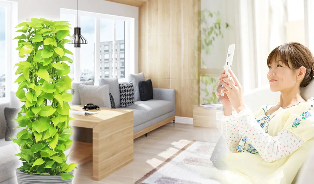 ギフトやインテリアに人気の観葉植物ポトスライムタワー