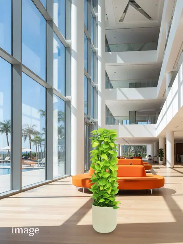 ポトスライムタワー葉っぱ拡大画像