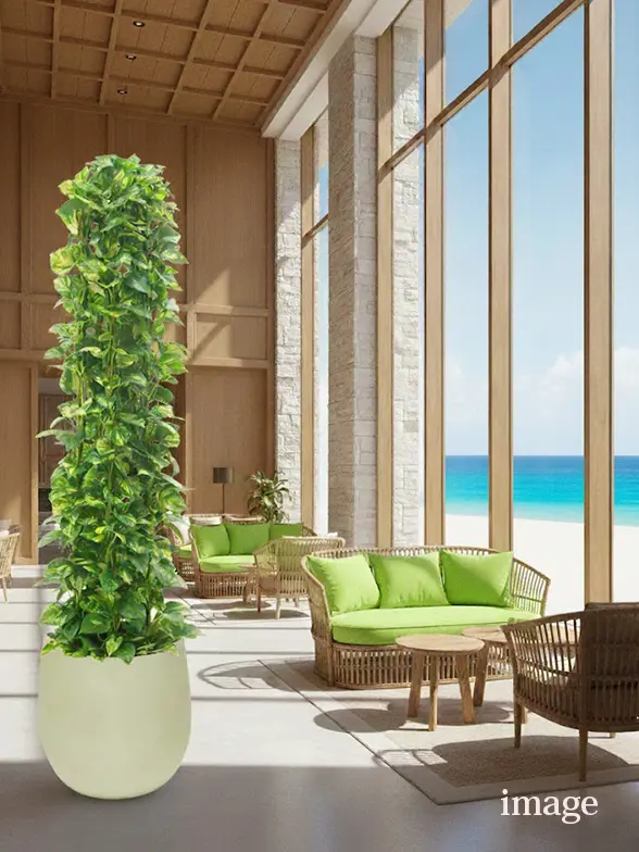 ポトスタワー葉っぱ枝も入った画像