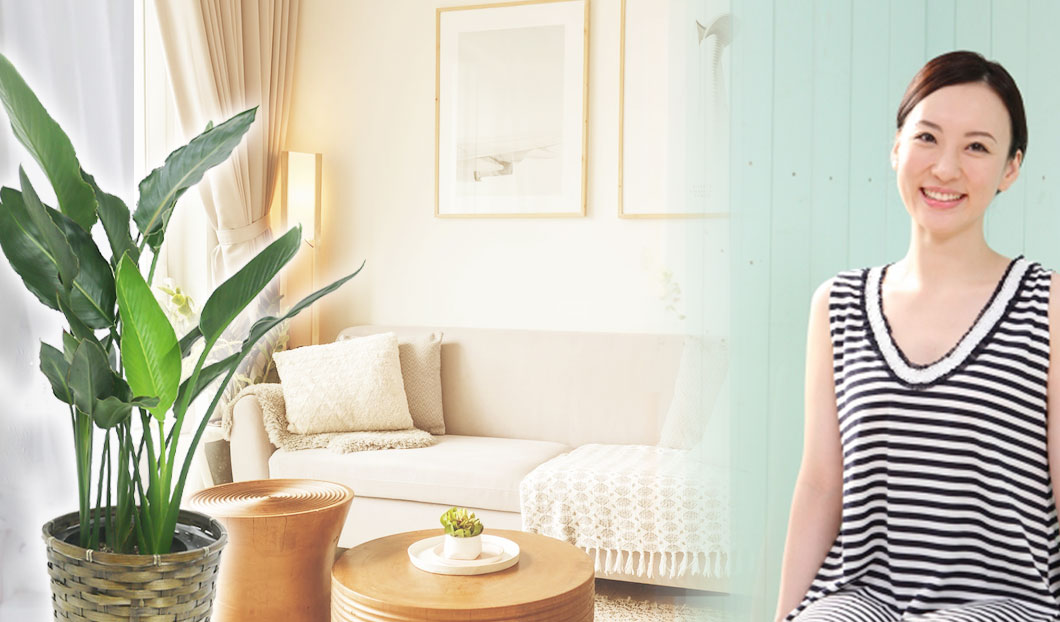 ギフトやインテリアに人気の観葉植物ストレリチア・レギネ