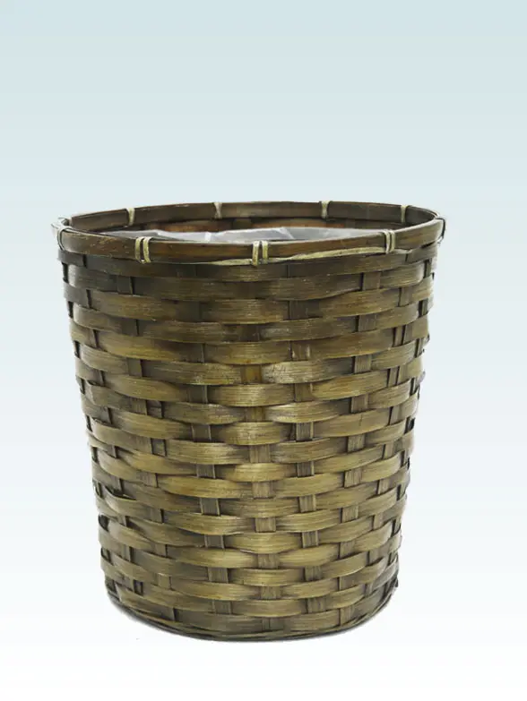 ストレリチア・レギネ籐製の鉢カバー単体画像