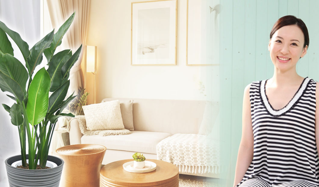 ギフトやインテリアに人気の観葉植物ストレリチア・レギネ