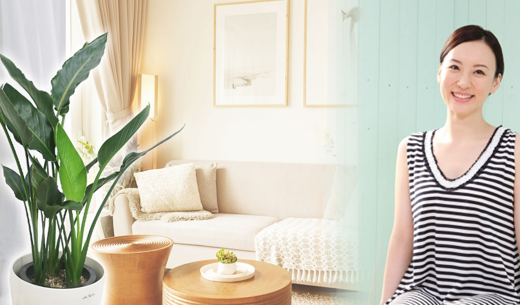 ギフトやインテリアに人気の観葉植物ストレリチア・レギネ