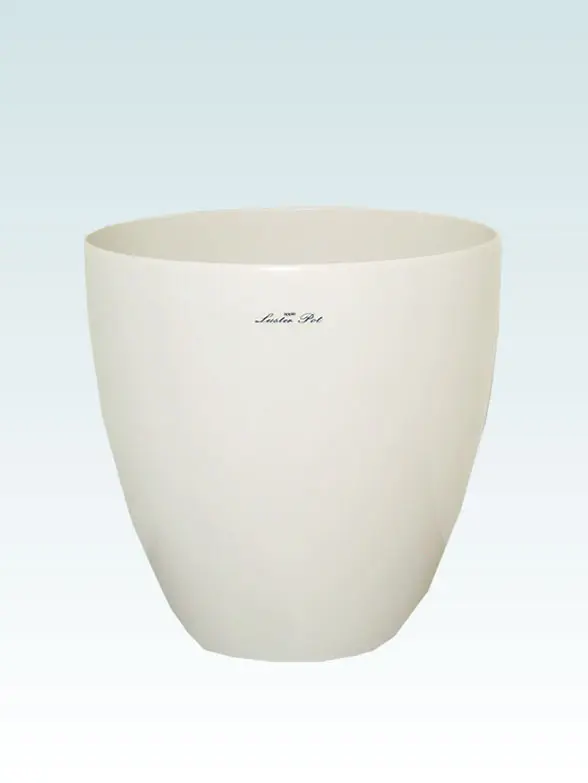 ストレリチア・レギネ籐製の鉢カバー単体画像