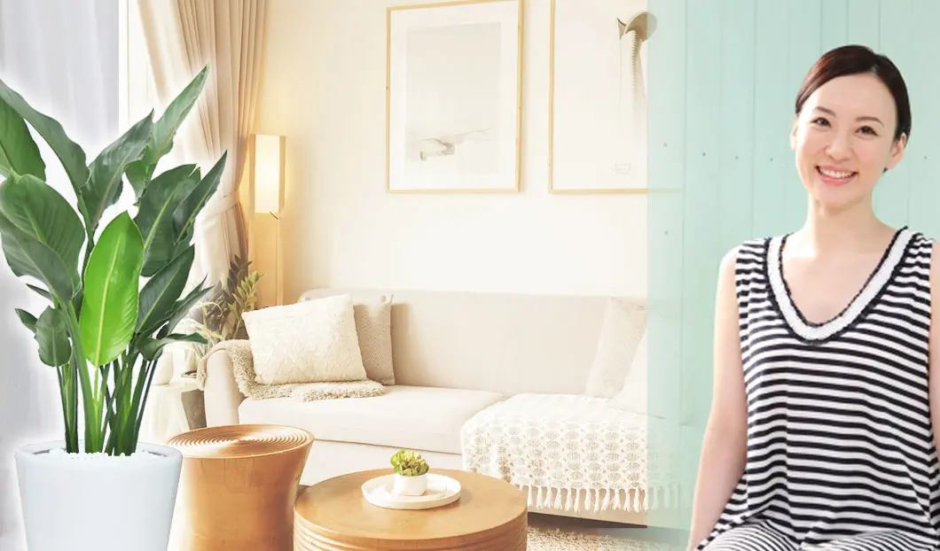 ギフトやインテリアに人気の観葉植物ストレリチア・レギネ