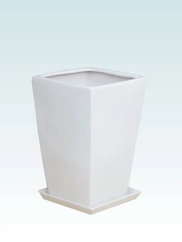 ストレリチア・レギネ籐製の鉢カバー単体画像