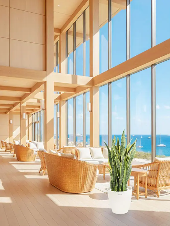 サンセベリア葉っぱ拡大画像