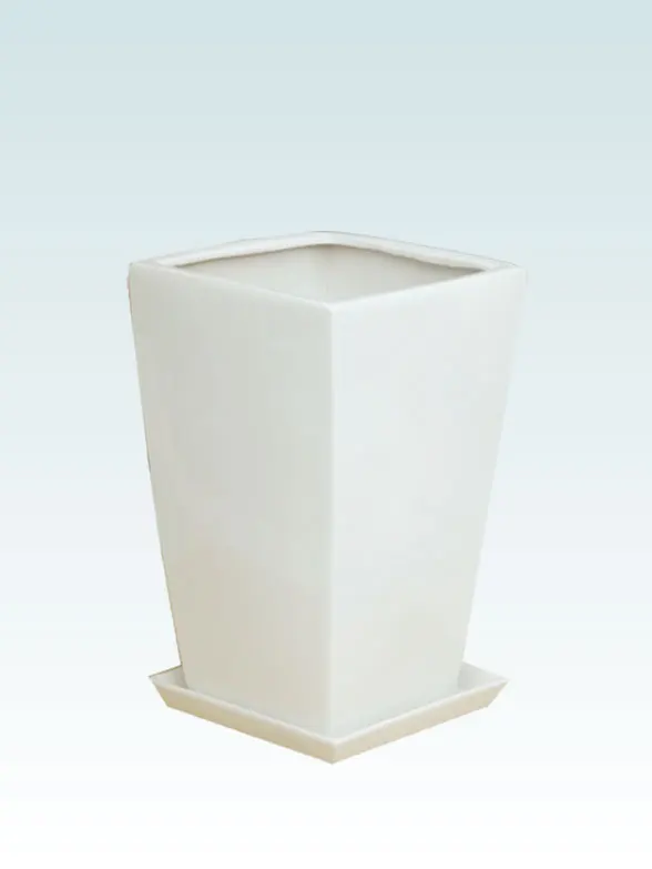 サンセベリア籐製の鉢カバー単体画像