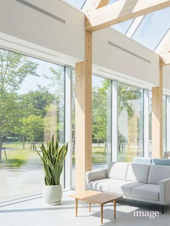 サンセベリア葉っぱ拡大画像