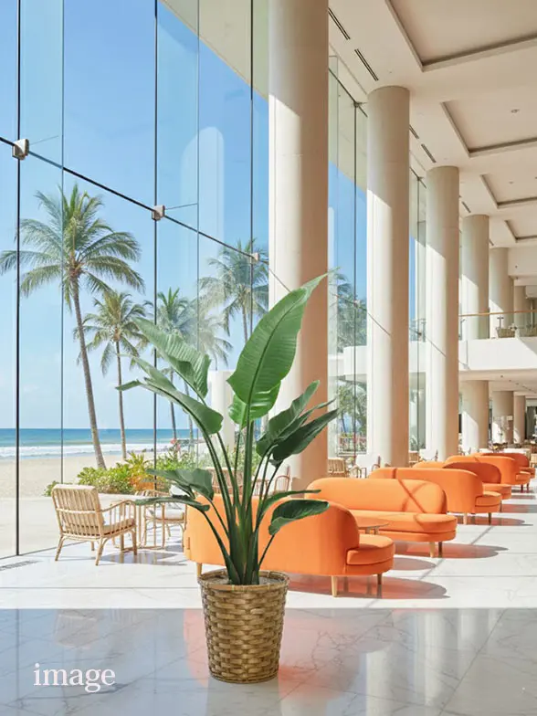 ストレリチア・オーガスタ葉っぱ拡大画像