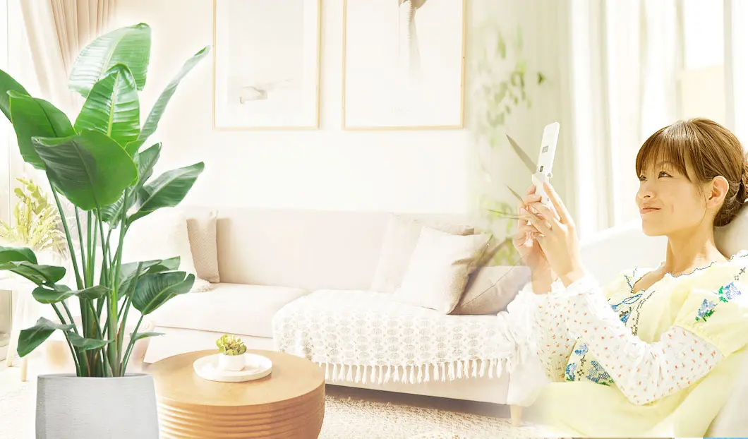 ギフトやインテリアに人気の観葉植物ストレリチア・オーガスタ