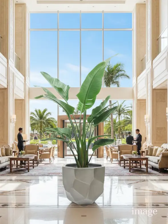 ストレリチア・オーガスタ葉っぱ枝も入った画像