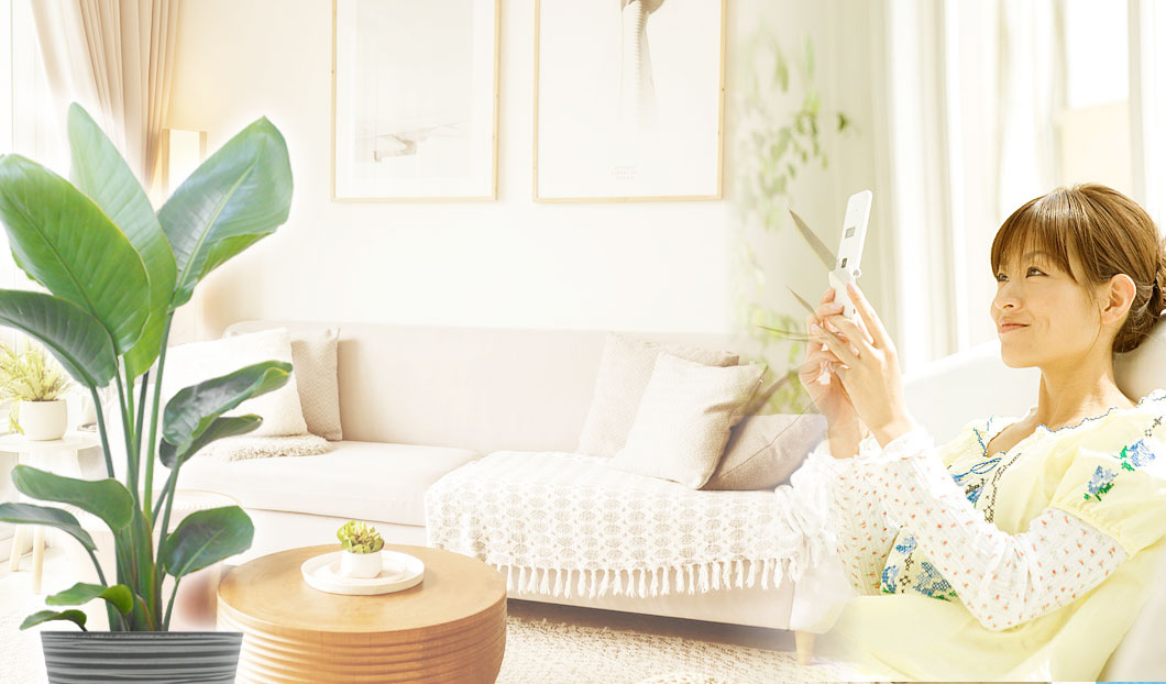 ギフトやインテリアに人気の観葉植物ストレリチア・オーガスタ