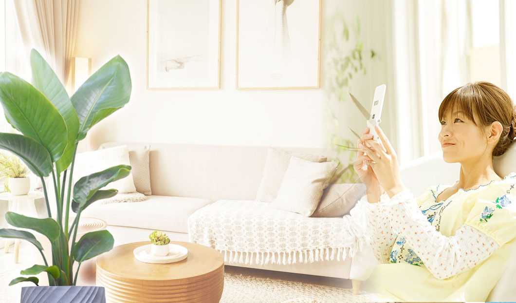 ギフトやインテリアに人気の観葉植物ストレリチア・オーガスタ