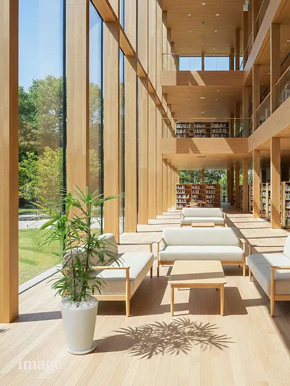 シュロチク葉っぱ拡大画像