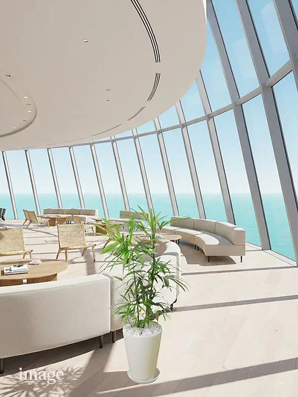 シュロチク葉っぱ枝も入った画像