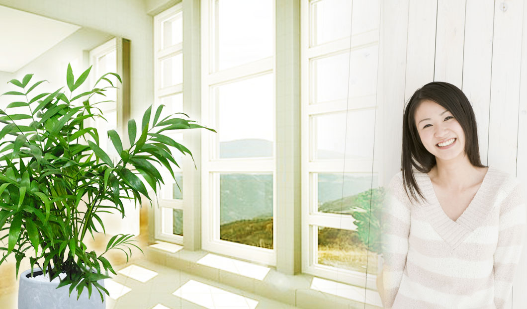 ギフトやインテリアに人気の観葉植物テーブルヤシ