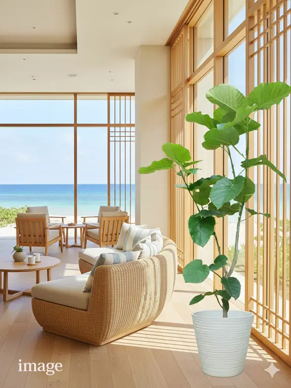 ウンベラータ葉っぱ枝も入った画像