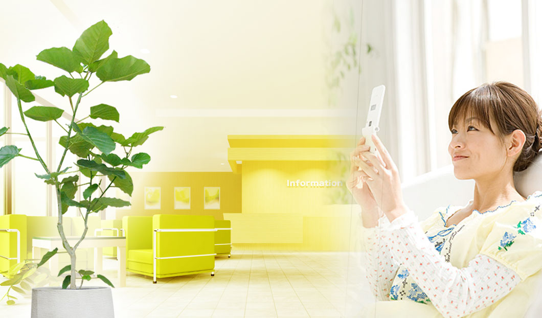 ギフトやインテリアに人気の観葉植物ウンベラータ