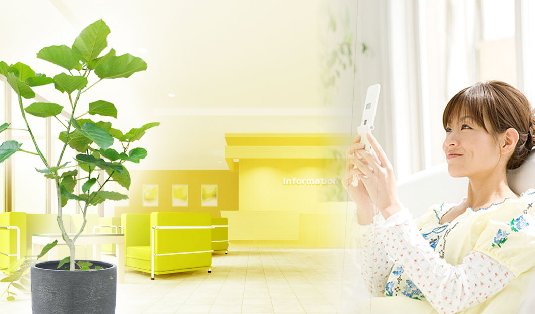 ギフトやインテリアに人気の観葉植物ウンベラータ