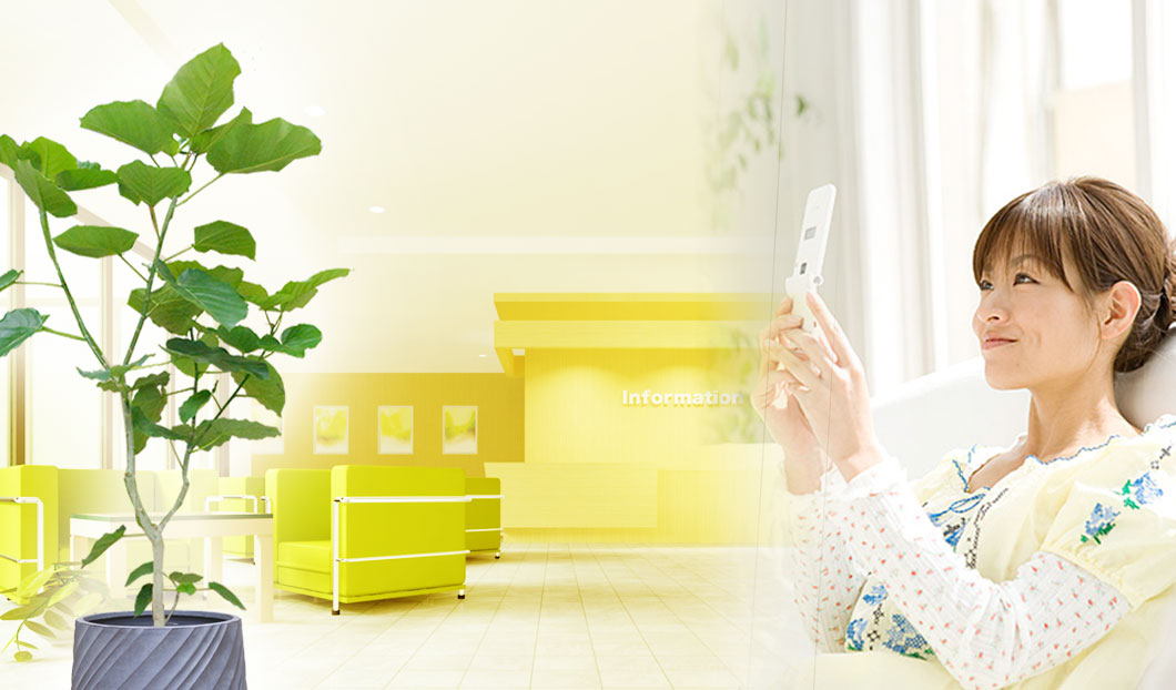 ギフトやインテリアに人気の観葉植物ウンベラータ