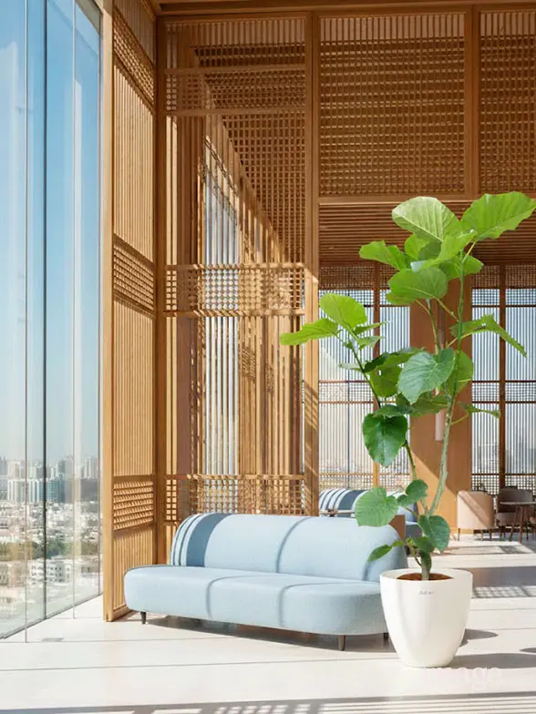 ウンベラータ葉っぱ枝も入った画像