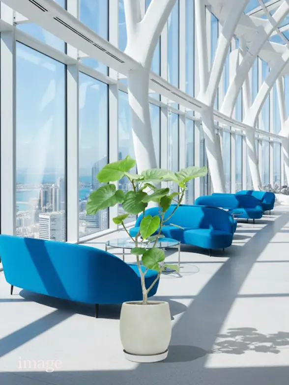 ウンベラータ葉っぱ拡大画像