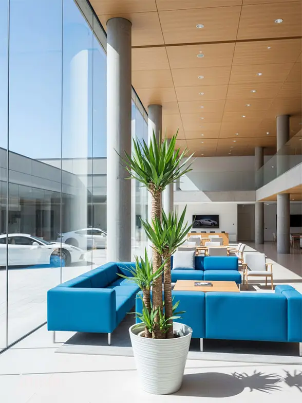 ユッカ葉っぱ枝も入った画像