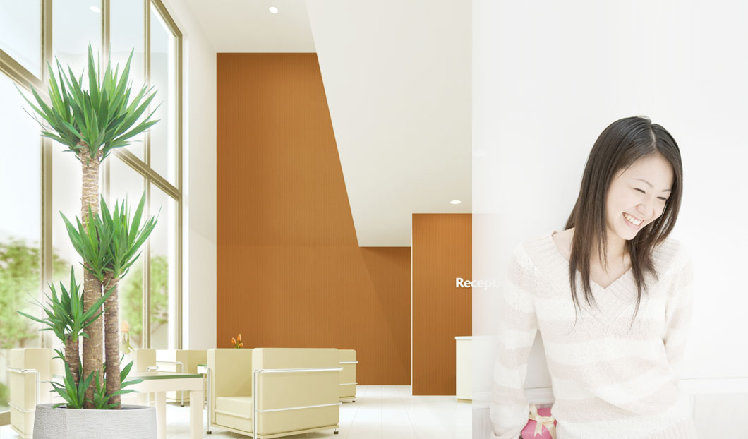 ギフトやインテリアに人気の観葉植物ユッカ