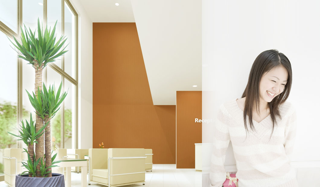 ギフトやインテリアに人気の観葉植物ユッカ