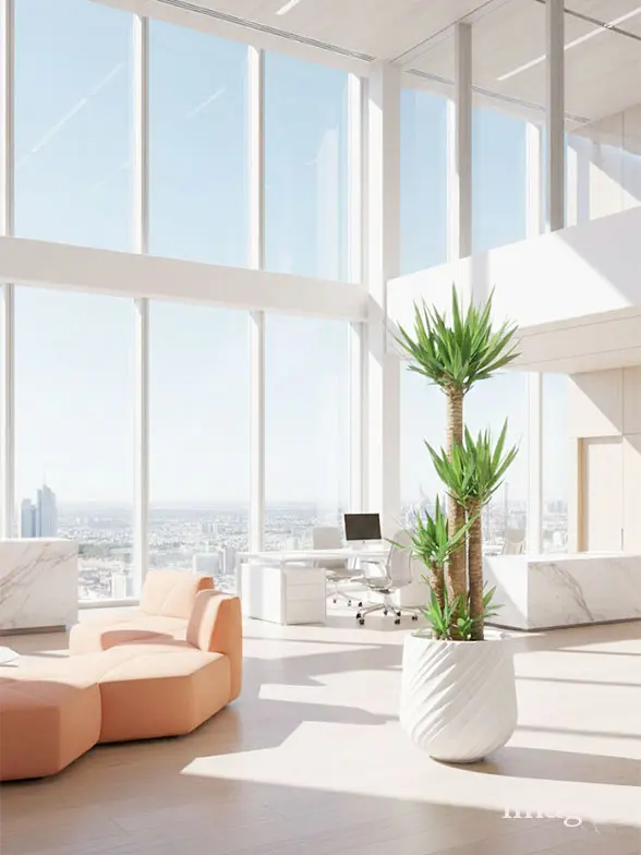 ユッカ葉っぱ枝も入った画像