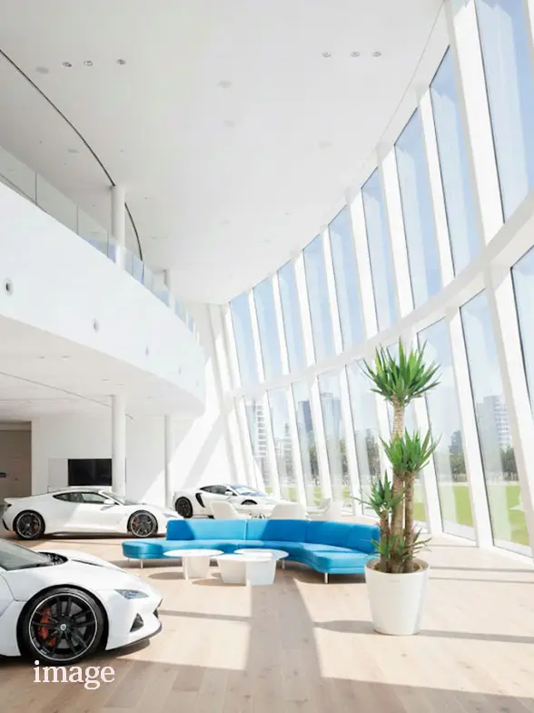 ユッカ葉っぱ枝も入った画像