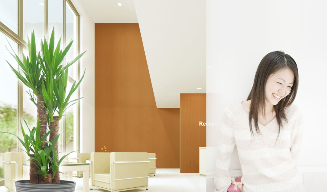 ギフトやインテリアに人気の観葉植物ユッカ