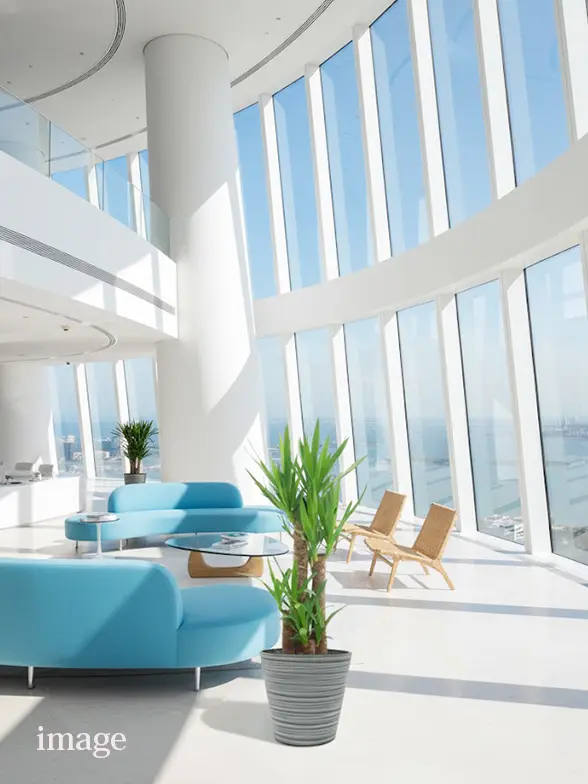 ユッカ葉っぱ拡大画像