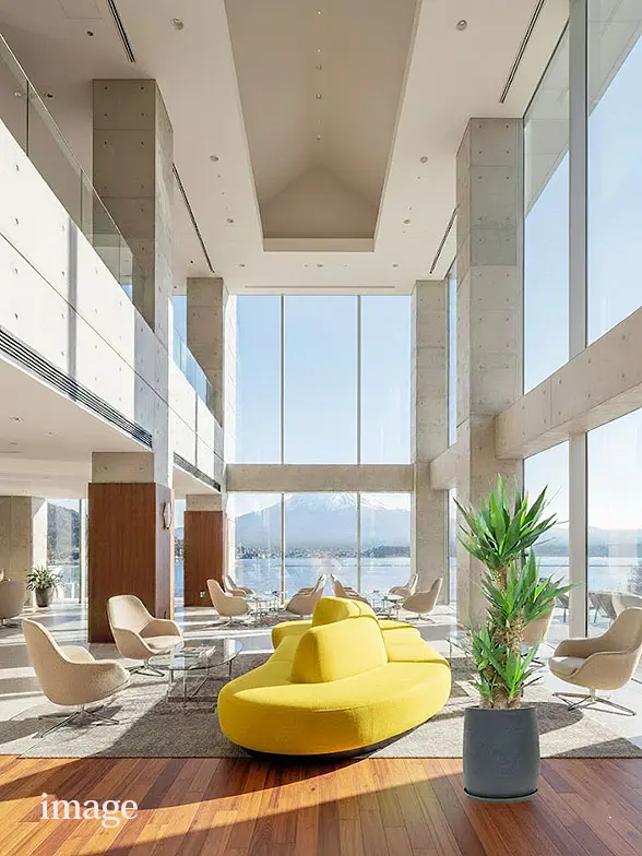 ユッカ葉っぱ枝も入った画像