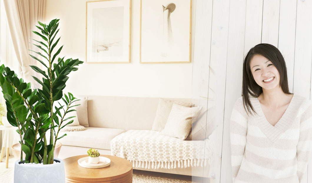 ギフトやインテリアに人気の観葉植物ザミオクルカス