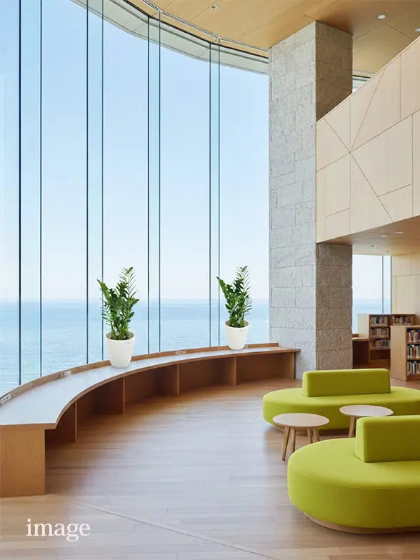 ザミオクルカス葉っぱ枝も入った画像