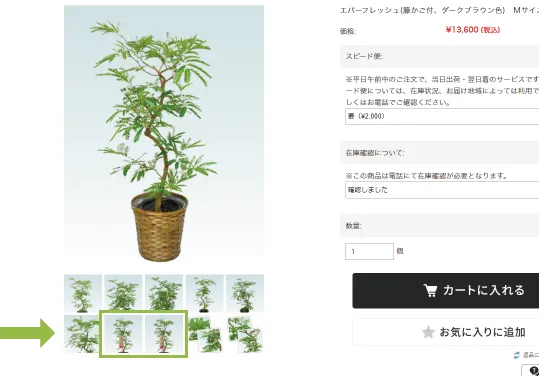 観葉植物の祝札、利用例