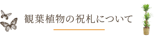 観葉植物の祝札について