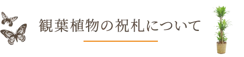 観葉植物の祝札について