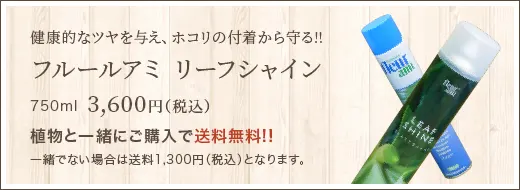 健康的なツヤを与え、ホコリの付着から守る!! フルールアミ リーフシャイン