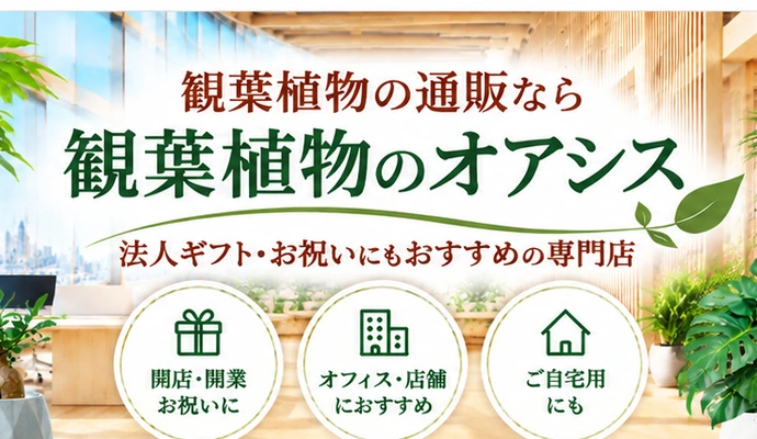 観葉植物の通販なら観葉植物のオアシス｜法人ギフト・お祝いにもおすすめの専門店