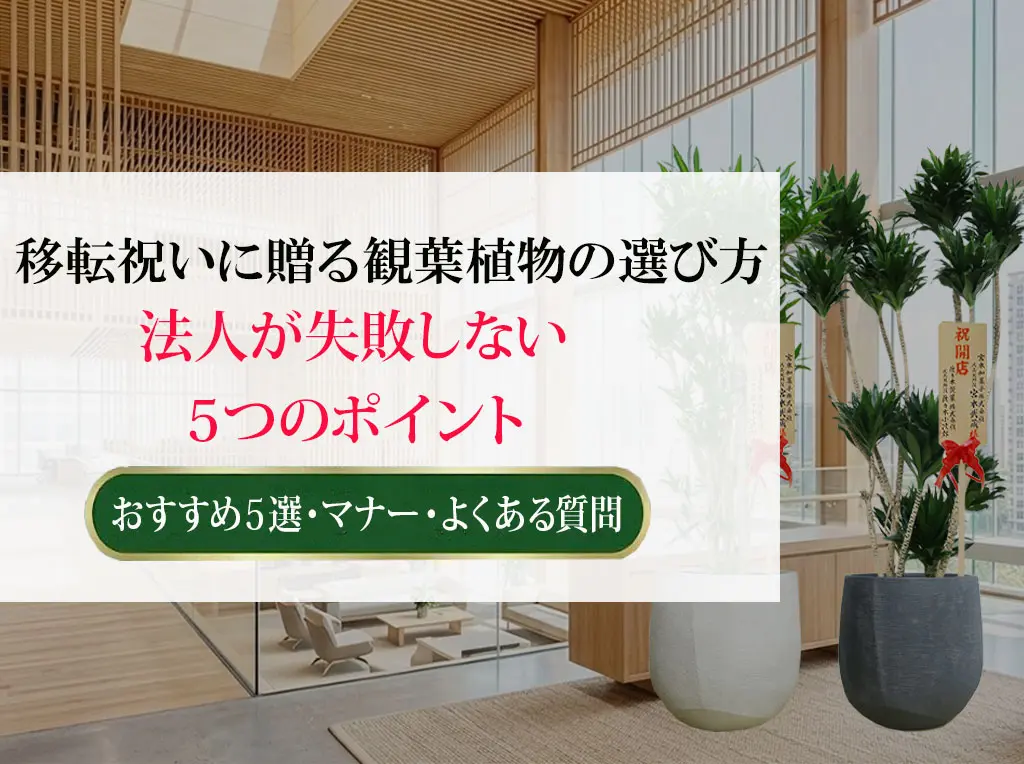 移転祝いに贈る観葉植物の選び方｜失敗しない5つのポイント